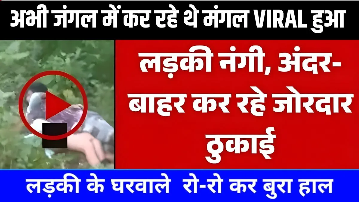 New Year Best Recharge Deals From Airtel, Jio, VI and BSNL